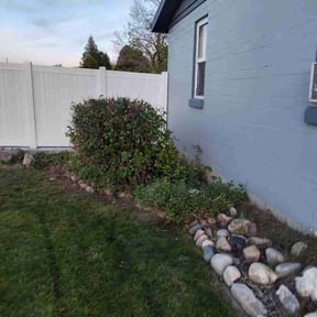 Bush Trimming by Elite earthworks reviewed on April 9, 2026