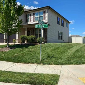 grass maintenance by Nyasia's landscape reviewed on July 19, 2025