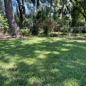 landscaping services by Guys n Green LLC reviewed on August 20, 2025