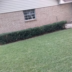 Bush Trimming by R&M landscaping reviewed on August 17, 2025