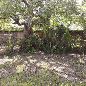 Bush Trimming by Manicure Lawn Care reviewed on August 19, 2025