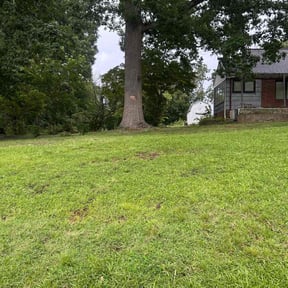 Leaf Removal by Cut n up lawn care services reviewed on September 16, 2025