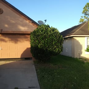 Bush Trimming by Herrera Lawn Maintenance reviewed on August 16, 2025