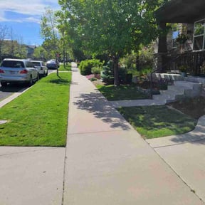 yard service by Lone Star Lawn &amp; Lighting reviewed on October 18, 2025