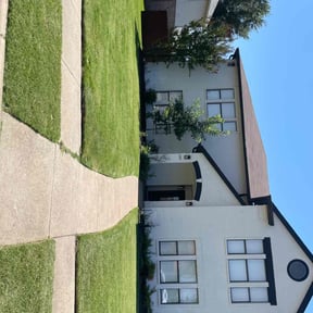 turf care by Moe's lawn care reviewed on August 20, 2025