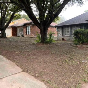 Leaf Removal by Lucio Gonzales reviewed on September 28, 2025