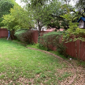 Bush Trimming by JH Custom Landscaping reviewed on August 20, 2025