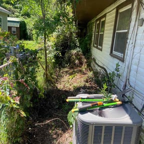 Bush Trimming by Dabbic Lawn Care LLC reviewed on August 15, 2025