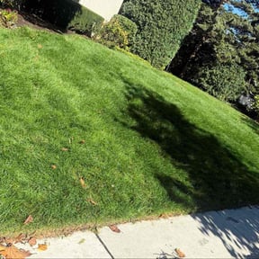 Flower Bed Weeding by Lazy Day Lawn Maintenance  reviewed on December 11, 2025