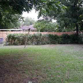 Bush Trimming by BiG Lawn Service reviewed on August 17, 2025