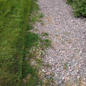 Flower Bed Weeding by Iroc's Lawn Care reviewed on August 18, 2025