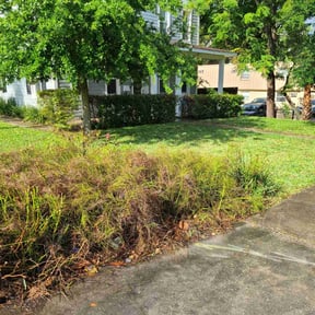 Leaf Removal by LaGrone Lawn & Snow Service LLC reviewed on August 16, 2025