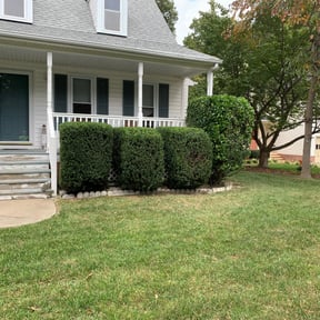 Bush Trimming by MPV Landscaping reviewed on August 21, 2025