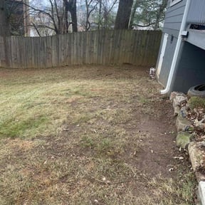 Leaf Removal by Absolute Pressure &amp; lawn Care reviewed on December 11, 2025