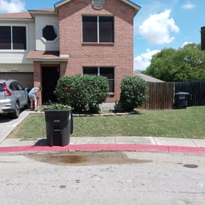 Bush Trimming by Value Lawn Care reviewed on August 17, 2025
