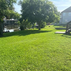 turf maintenance by kumler lawn care reviewed on August 16, 2025