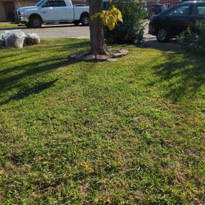 Leaf Removal by Lawn Patrol reviewed on November 21, 2025