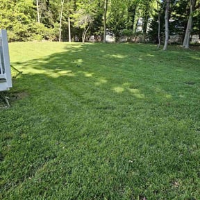 turf care by 3DS Lawncare Service reviewed on August 21, 2025