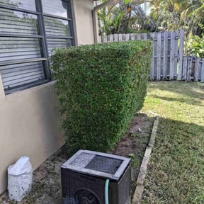 Bush Trimming by Transformed reviewed on October 24, 2025