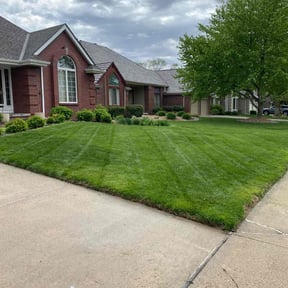 yard work by Luxury Lawn Care reviewed on November 28, 2025