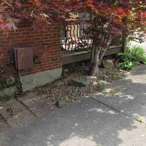 Bush Trimming by Hardy's Way Trucking llc reviewed on April 23, 2026
