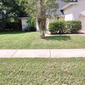 Bush Trimming by Cari lawn care reviewed on August 19, 2025