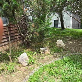 Flower Bed Weeding by J’s Landscaping Solutions reviewed on June 24, 2026