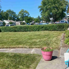 Bush Trimming by Yards Done Daily reviewed on November 4, 2025