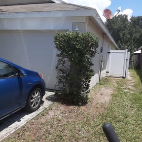 Bush Trimming by Parker Landscape & Maintenance reviewed on August 16, 2025