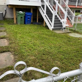 grass maintenance by Sunshine lawncare reviewed on July 13, 2023
