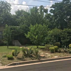 Bush Trimming by nScape’s Lawn Care reviewed on August 16, 2025