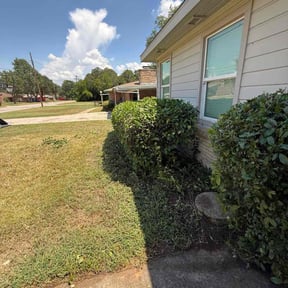 Bush Trimming by Natures Own reviewed on November 21, 2025