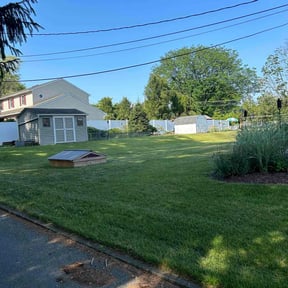 landscape maintenance by Kleinys Lawncare reviewed on August 17, 2025