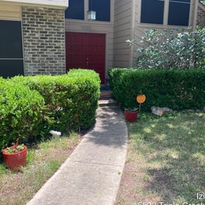 Bush Trimming by S.O.S Lawn Care and Maintenance reviewed on August 21, 2025
