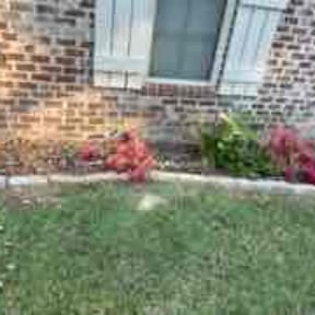 Flower Bed Weeding by Javan Lopez reviewed on October 19, 2025