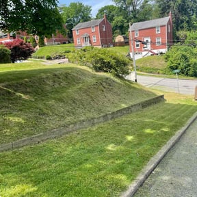 lawn care services by Doublerlawncare reviewed on March 19, 2024