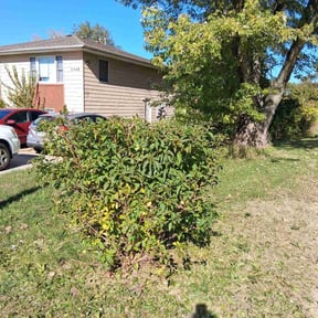 lawn care by Southern Legacy Lawn Care reviewed on August 10, 2025