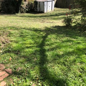 Leaf Removal by MC Landscape Maintenance LLC reviewed on September 20, 2025