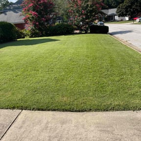 yard care by James Lawn Transformation Service reviewed on August 17, 2025