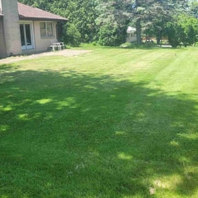 yard care by SP Landscaping reviewed on August 21, 2025