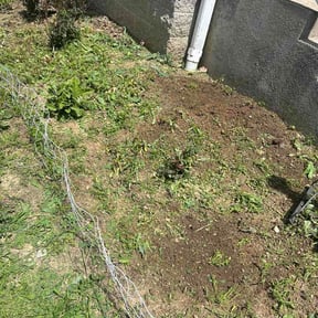 Flower Bed Weeding by All season Lawnscape reviewed on June 23, 2026
