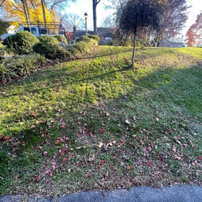 Leaf Removal by Cut With Craft reviewed on September 22, 2025