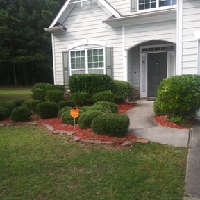 Bush Trimming by A&Js Landscaping and Design LLC reviewed on August 21, 2025