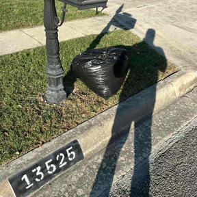 Leaf Removal by Deep Sweep Cleaning and Landscaping reviewed on September 28, 2025