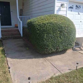 Bush Trimming by Miramontes Landscaping reviewed on November 21, 2025