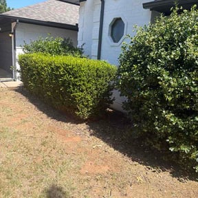 Flower Bed Weeding by On-The-Job Property Services reviewed on July 9, 2026