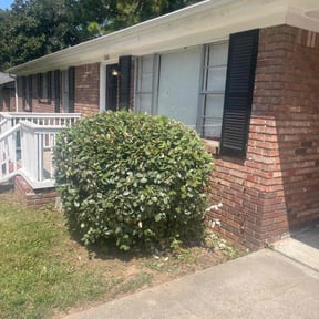 Bush Trimming by All Electric Landscaping reviewed on October 22, 2025