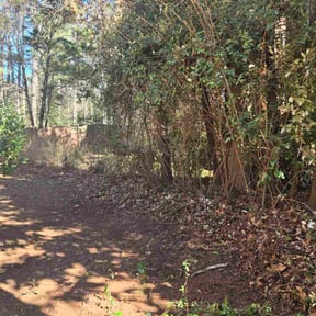 Flower Bed Weeding by Betz Construction LLC reviewed on May 7, 2026