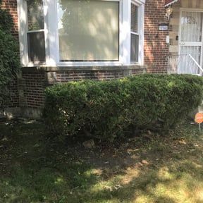 Bush Trimming by Premier Lawn Care reviewed on August 19, 2025