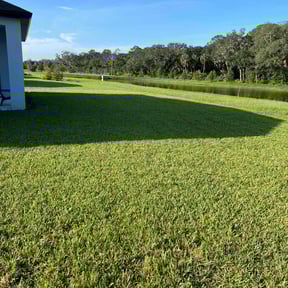 lawn service by Elenas Lawn Care LLC reviewed on February 19, 2025